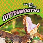 Cottonmouths