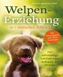 Welpen-Erziehung in 7 einfachen... - Bild 1