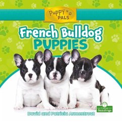 French Bulldog Puppies - Armentrout, David; Armentrout, Patricia