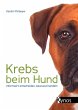Krebs beim Hund (eBook, ePUB) - Bild 1