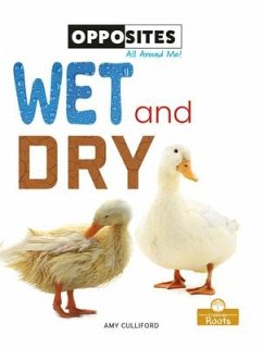 Wet and Dry - Culliford, Amy