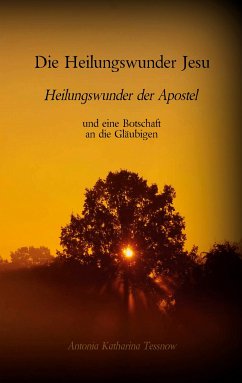 Die Heilungswunder Jesu, Heilungswunder der Apostel (eBook, ePUB) - Tessnow, Antonia Katharina