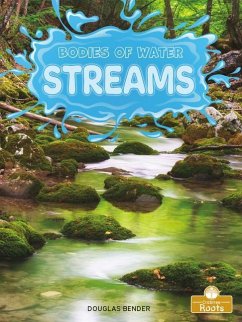 Streams - Bender, Douglas