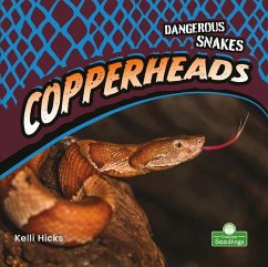 Copperheads - Hicks, Kelli