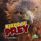 Birds of Prey