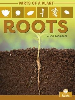 Roots - Rodriguez, Alicia
