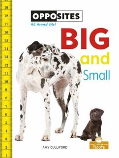 Big and Small - Culliford, Amy