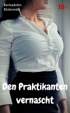 Den Praktikanten vernascht (eBook, ePUB)