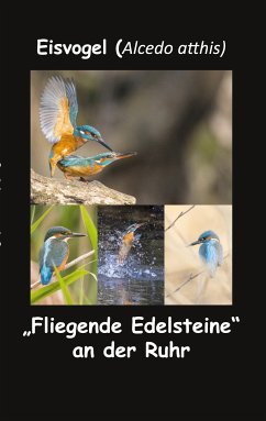 Eisvogel (Alcedo atthis) (eBook, ePUB)