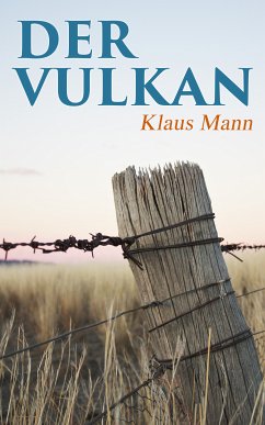 Der Vulkan (eBook, ePUB) - Mann, Klaus