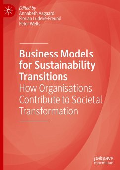 Business Models for Sustainability Transitions