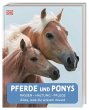 Pferde und Ponys - Bild 1