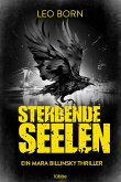 Sterbende Seelen / Mara Billinsky Bd.6