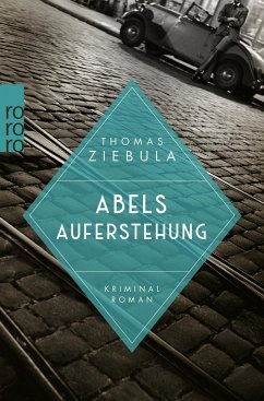 Abels Auferstehung / Paul Stainer Bd.2 - Ziebula, Thomas