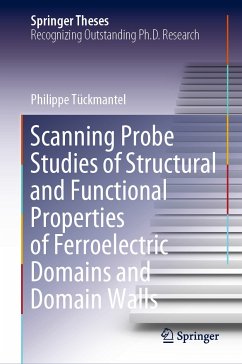 Scanning Probe Studies of Structural and Functional Properties of Ferroelectric Domains and Domain Walls (eBook, PDF) - Tückmantel, Philippe