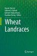 Wheat Landraces - Bild 1