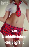 Vom Nachhilfelehrer entjungfert (eBook, ePUB)