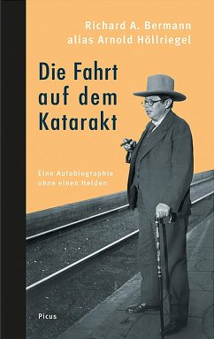 Die Fahrt auf dem Katarakt (eBook, ePUB) - Bermann, Richard A.