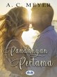 Pandangan Pertama (eBook, ePUB) - Bild 1