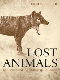 Lost Animals - Fuller, Errol