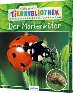 Der Marienkäfer / Meine große Tierbibliothek Bd.23 - Tracqui, Valérie