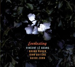 Everlasting - Vincent Le Quang