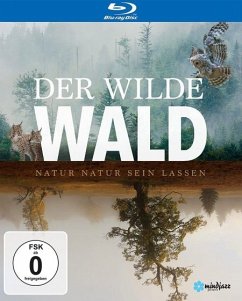 Der Wilde Wald - Natur Natur sein lassen