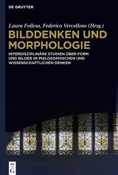 Bilddenken und Morphologie