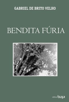 Cover Bendita fúria (eBook, ePUB)