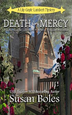 Cover Death in Mercy (Lily Gayle Lambert Mystery, #0.5) (eBook, ePUB)
