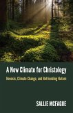 New Climate for Christology (eBook, ePUB) New Climate for Christology (eBook, ePUB)