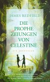 Die Prophezeiungen von Celestine (eBook, ePUB)