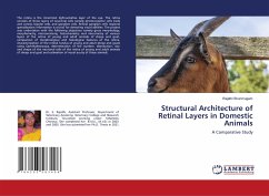 Structural Architecture of Retinal Layers in Domestic Animals - Shunmugam, Rajathi