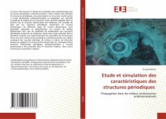 Etude et simulation des caractéristiques des structures périodiques - Barkat, Ouarda