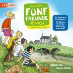 Fünf Freunde Junior Bd.2-4 (MP3-Download)