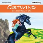Ein rätselhafter Unfall / Ostwind Abenteuerreihe Bd.1 (MP3-Download)