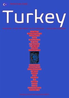 (Uneasy Universal Lectures) American Cold Turkey - Public Files, Concept;Shucker, Beat;Schast, Christine