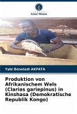 Produktion von Afrikanischem Wels (Clarias gariepinus) in Kinshasa (Demokratische Republik Kongo)