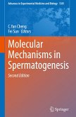 Molecular Mechanisms in Spermatogenesis