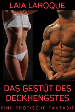 Das Gestüt des Deckhengstes (eBook, ePUB) - Larocque, Laia