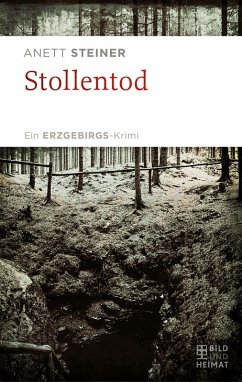 Stollentod (eBook, ePUB) - Steiner, Anett