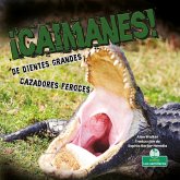 ¡Caimanes! de Dientes Grandes. Cazadores Feroces (Alligators! Big Teeth, Fierce Hunters)