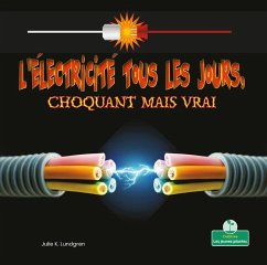 L'Électricité Tous Les Jours, Choquant Mais Vrai (Everyday Electricity, Shocking But True) - Lundgren, Julie K