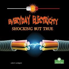 Everyday Electricity, Shocking But True - Lundgren, Julie K