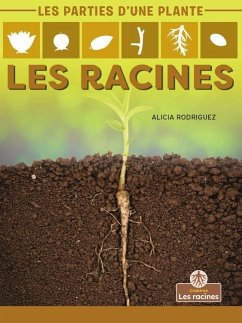 Les Racines (Roots) - Rodriguez, Alicia