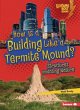 How Is a Building Like a Termite Mound? - Bild 1