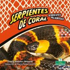 Serpientes de Coral (Coral Snakes)
