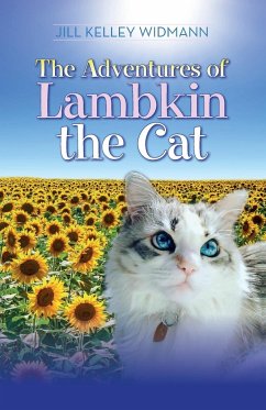 The Adventures of Lambkin the Cat - Widmann, Jill Kelley