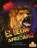 El León Africano (African Lion)
