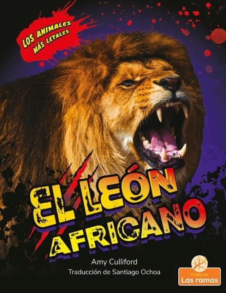 El León Africano (African Lion) El León Africano (African Lion)